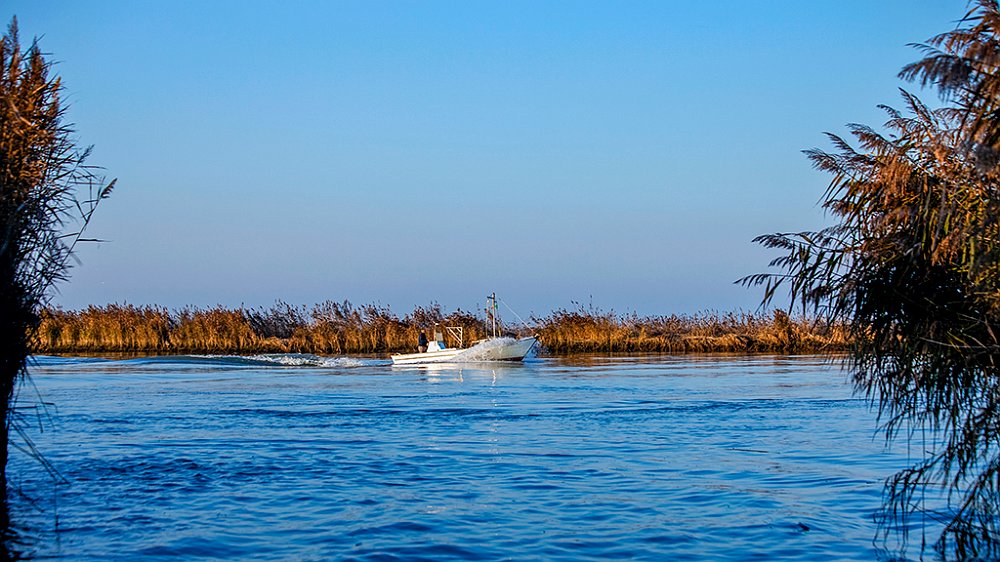 Delta del Po_06.jpg